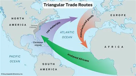 The Impact of the Transatlantic Slave Trade