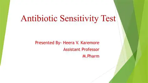 The Importance of Antibiotic Sensitivity Test