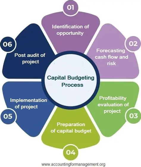 The Importance of Capital Participation