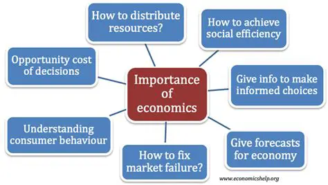 The Importance of Choices in Economics