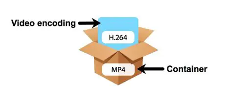 The Importance of Codec Selection