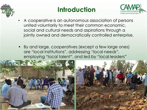 The Importance of Cooperatives in Indonesia