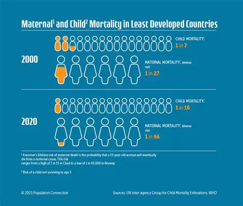The Importance of Infant Mortality Rate in Indonesia