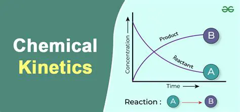 The Importance of Kinetics in Chemistry
