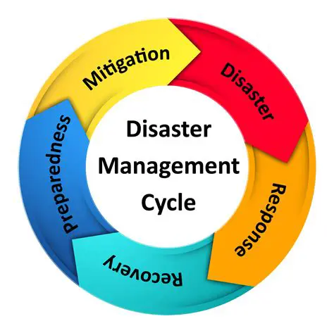 The Importance of Local Wisdom in Disaster Management