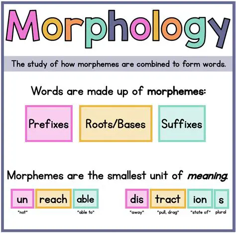 The Importance of Morphological Characterization