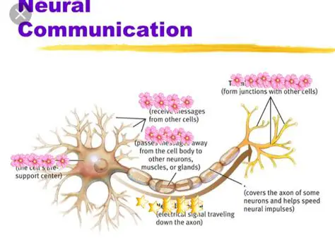 The Importance of Neural Communication