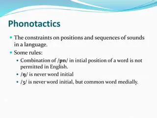 The Importance of Phonotactics in Language Learning