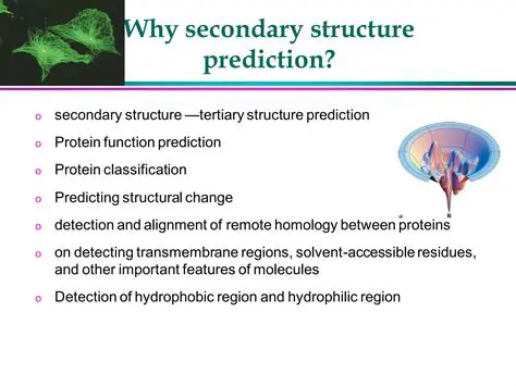 The Importance of Secondary Structure