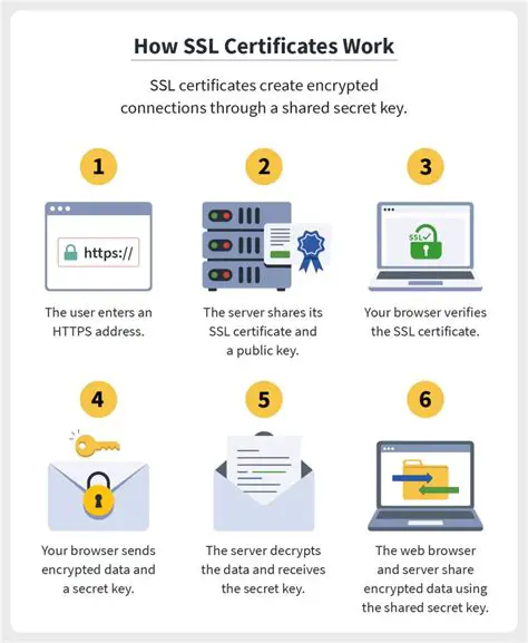 The Importance of SSL Certificates
