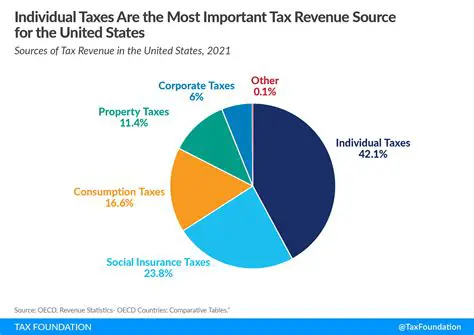 The Importance of Tax Revenue in the State Budget