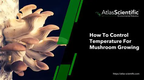 The Importance of Temperature and Humidity in Mushroom Cultivation