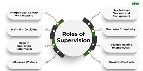 The Importance of the Role of Supervision in Attracting Investors
