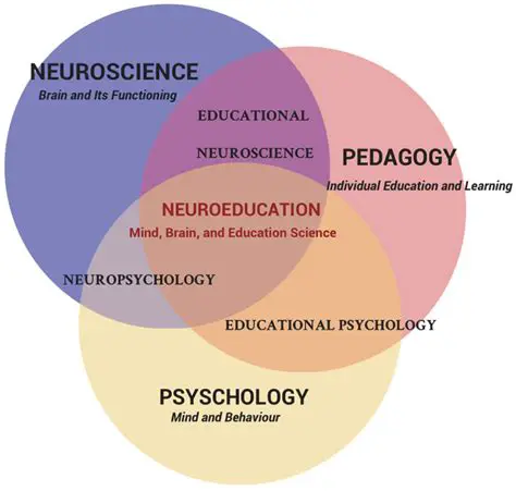 The Importance of Understanding Character Behavior
