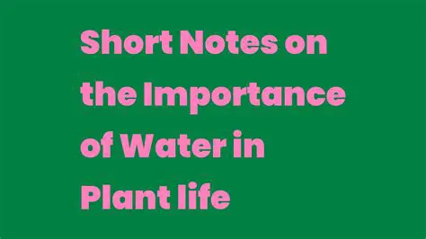 The Importance of Water in Plant Life