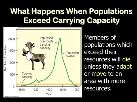 The Initial Population and Carrying Capacity
