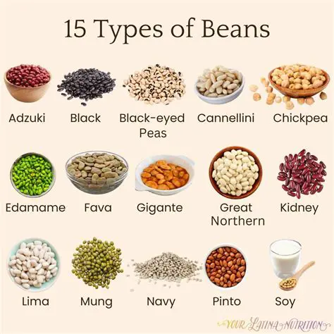 The Initial Ratio of Beans to Radishes