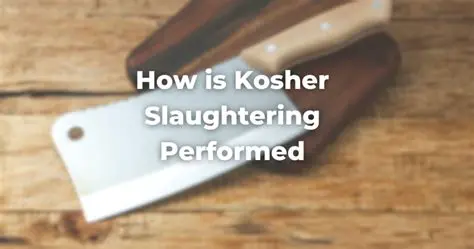 The Kosher Slaughter Process