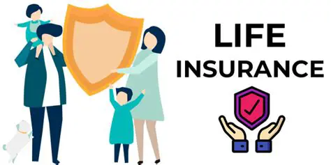 The Law on Life Insurance Policy Abuse