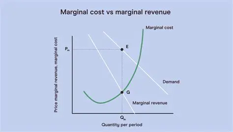 The Marginal Revenue Curve