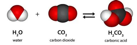 The Molar Mass of Hydrogen and Carbon Dioxide