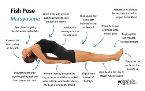 The Need for a Pose Setup System
