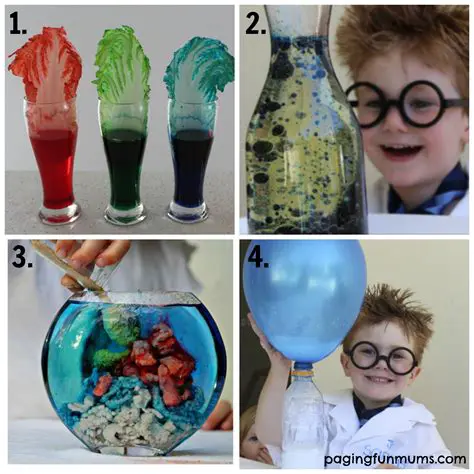 The Need for Transparency in Science Experiments