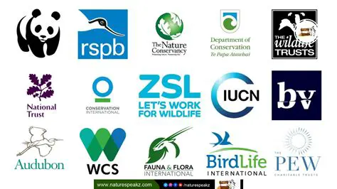 The Organizations that Supported the ERA