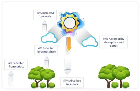 The Potential of Aren Plants