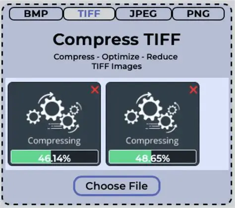 The Problem with Multiple TIFF Files