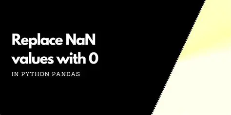 The Problem with NaN Values