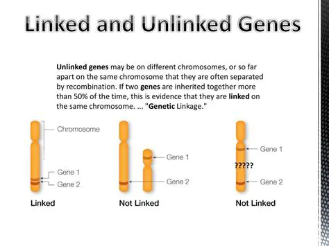 The Problem with Unlinked Interfaces