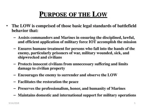 The Purposes of the Law of War