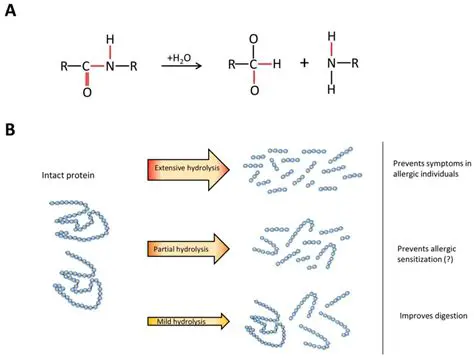 The Reaction and Its Products