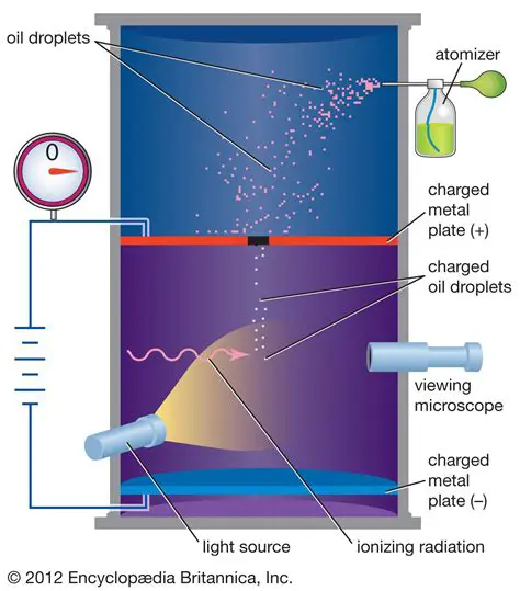The Results of the Experiment