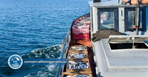 The Risks of Commercial Fishing