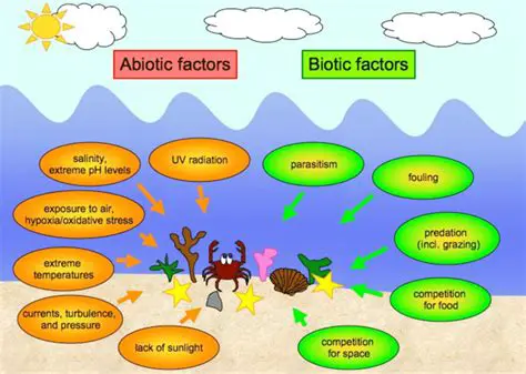 The Role of Abiotic Factors in Food Chains