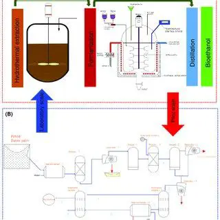 The Role of Calcium Oxide in Bioethanol Purification