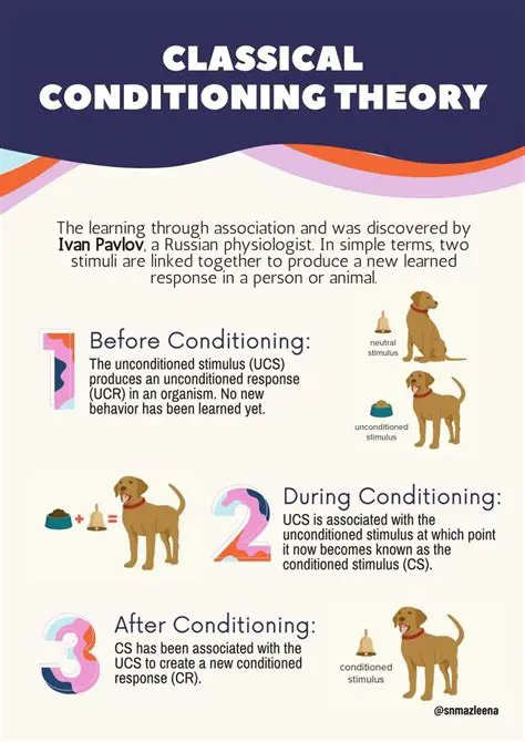 The Role of Classical Conditioning in Fear