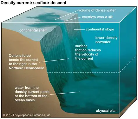The Role of Density in BEC Formation