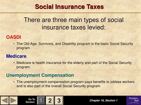 The Role of Employers in Collecting Social Insurance Taxes