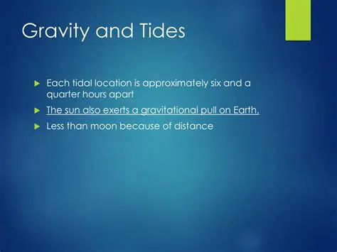 The Role of Gravity in Tidal Forces