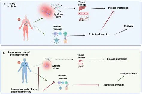 The Role of Immune System Suppression in HIV Progression