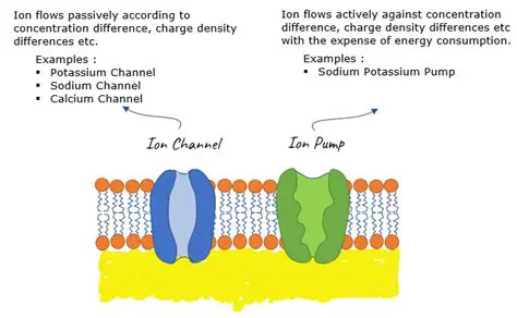 The Role of Ion Channels and Pumps