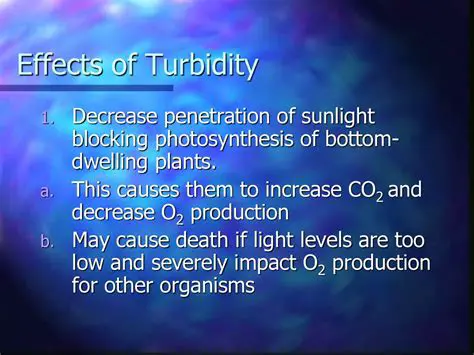 The Role of Turbidity in Sunlight Penetration
