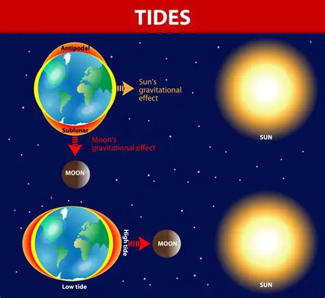 The Science Behind Low Tides