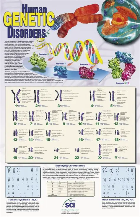 The Scope of Human Genetic Disorders