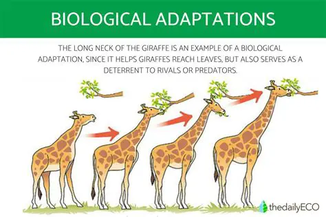 The Shared Survival Adaptation Hypothesis