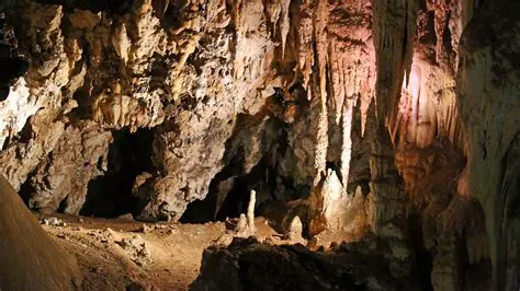 The Significance of the Sterkfontein Caves