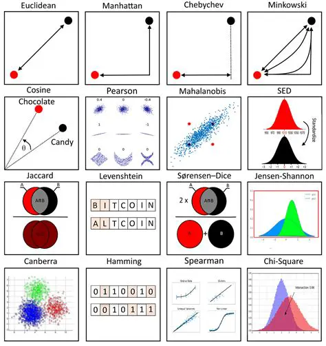The Similarity Among Groups